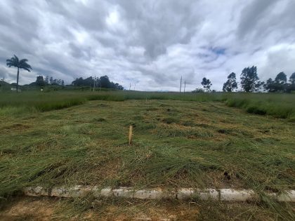 LOTE bairro Jardim Universitário/Itabira