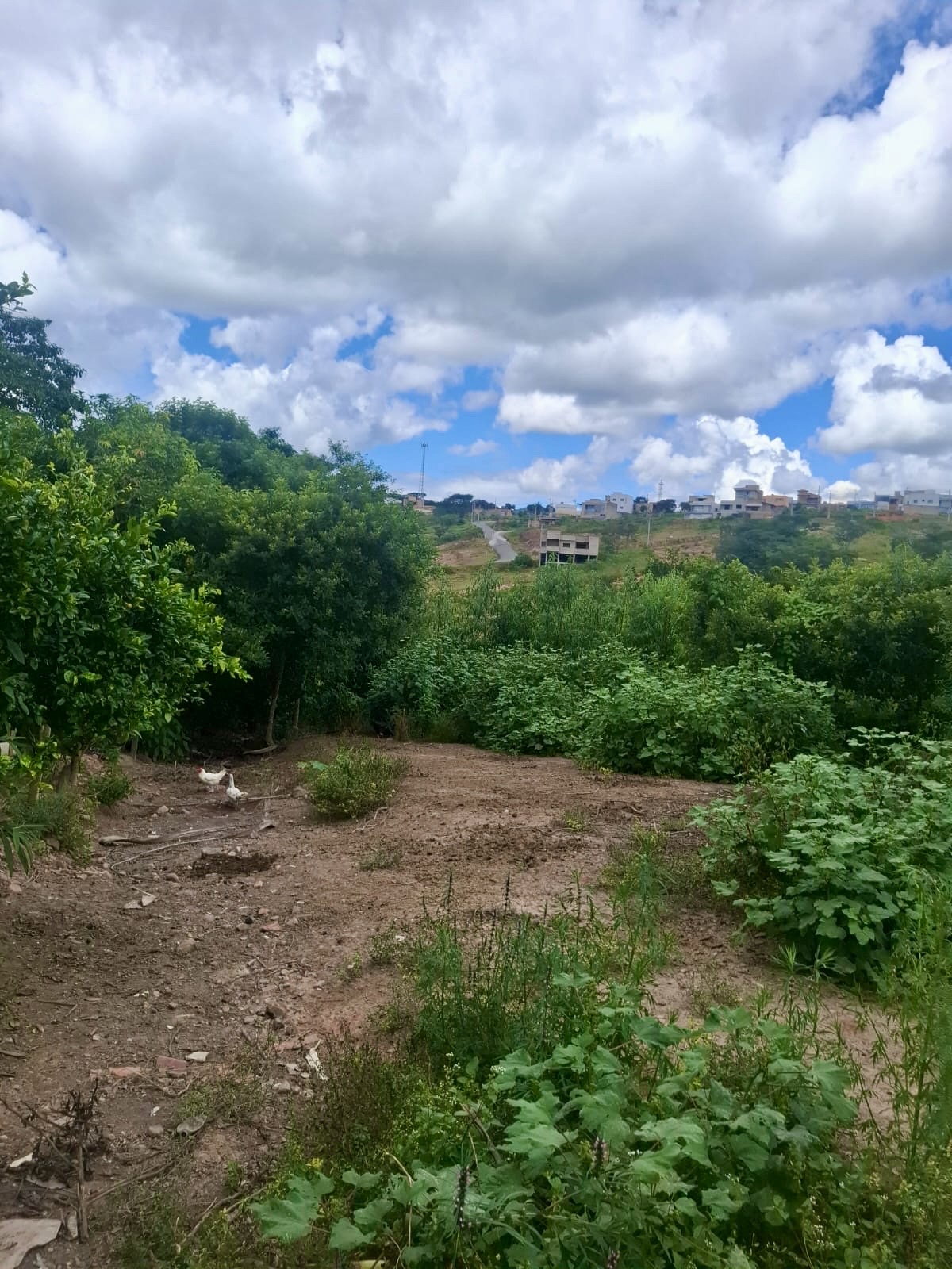 TERRENO/ÁREA Fazenda do Lago/Itabira - Imagem 2