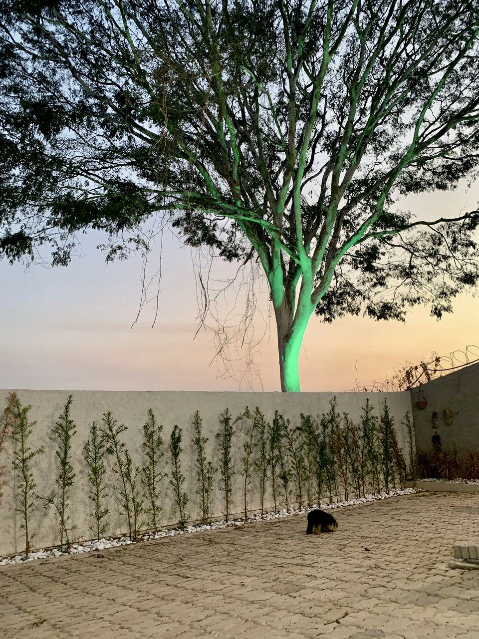 CASA A VENDA bairro São Pedro/Itabira - Imagem 10