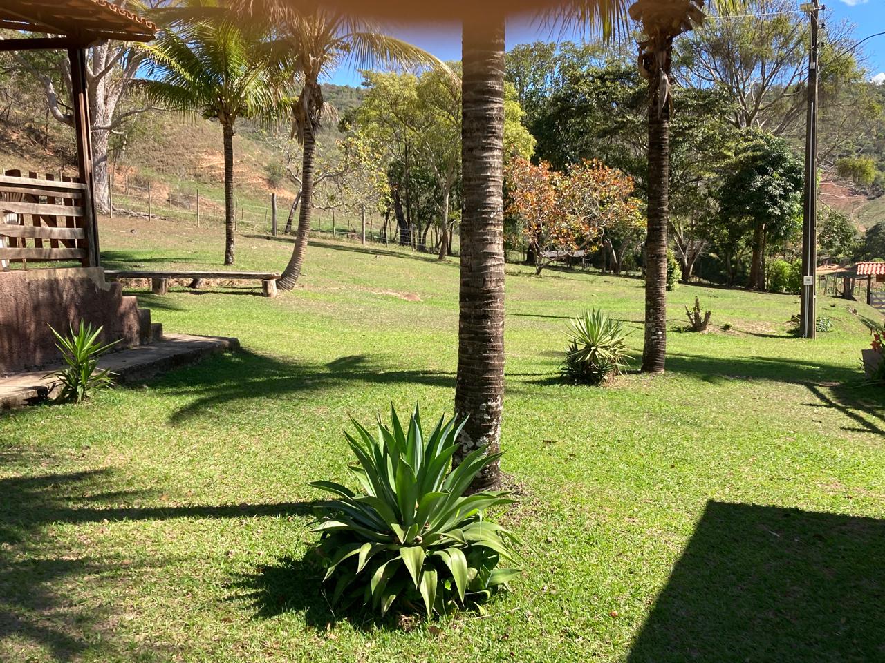 SÍTIO A VENDA em Santa Maria de Itabira (Localidade Comunidade São Pedro) - Imagem 15