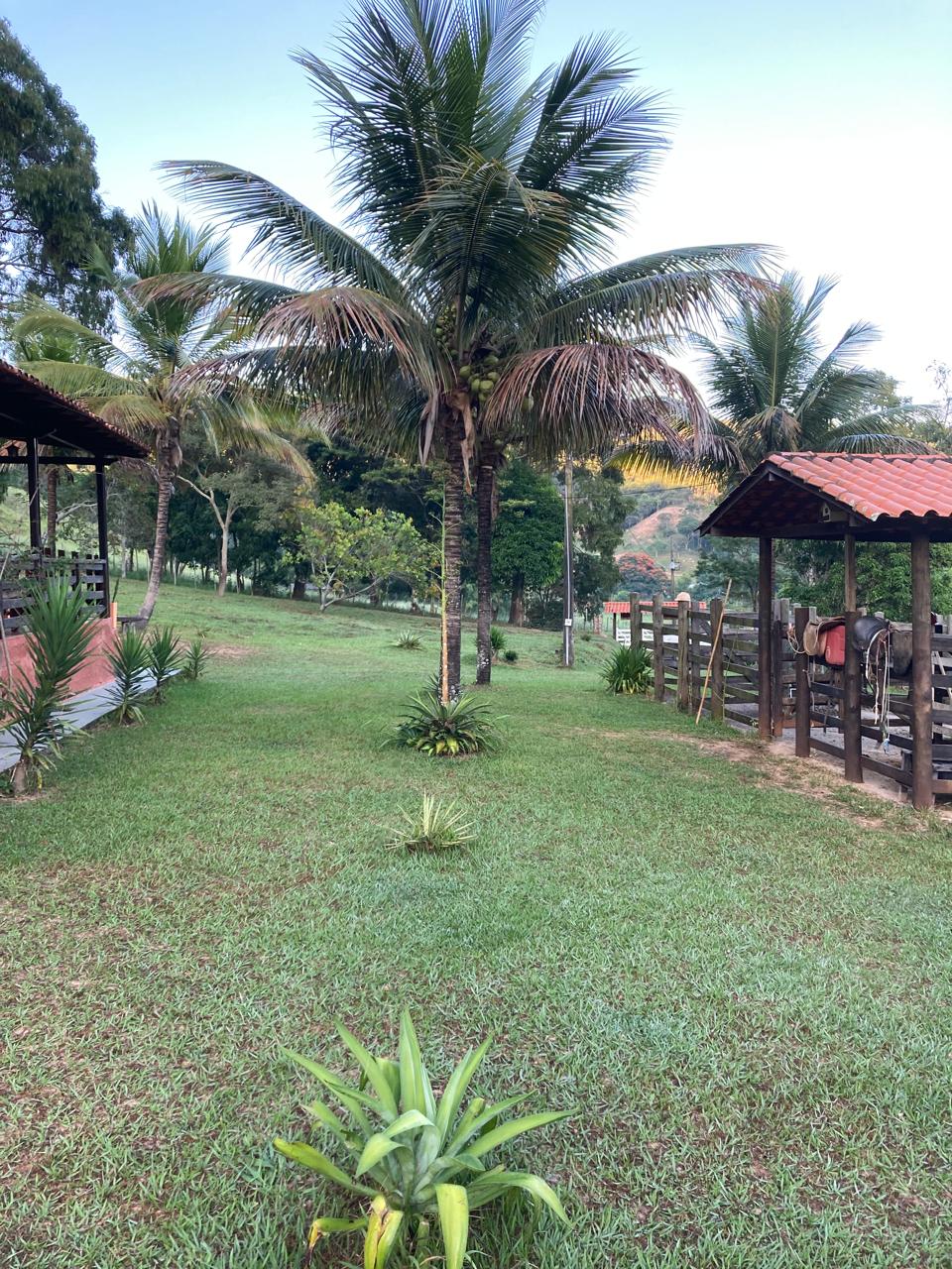 SÍTIO A VENDA em Santa Maria de Itabira (Localidade Comunidade São Pedro) - Imagem 13