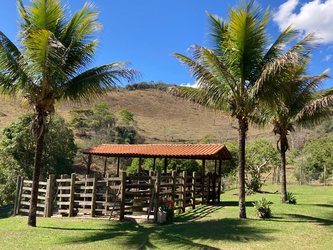 SÍTIO A VENDA em Santa Maria de Itabira (Localidade Comunidade São Pedro) - Imagem 8