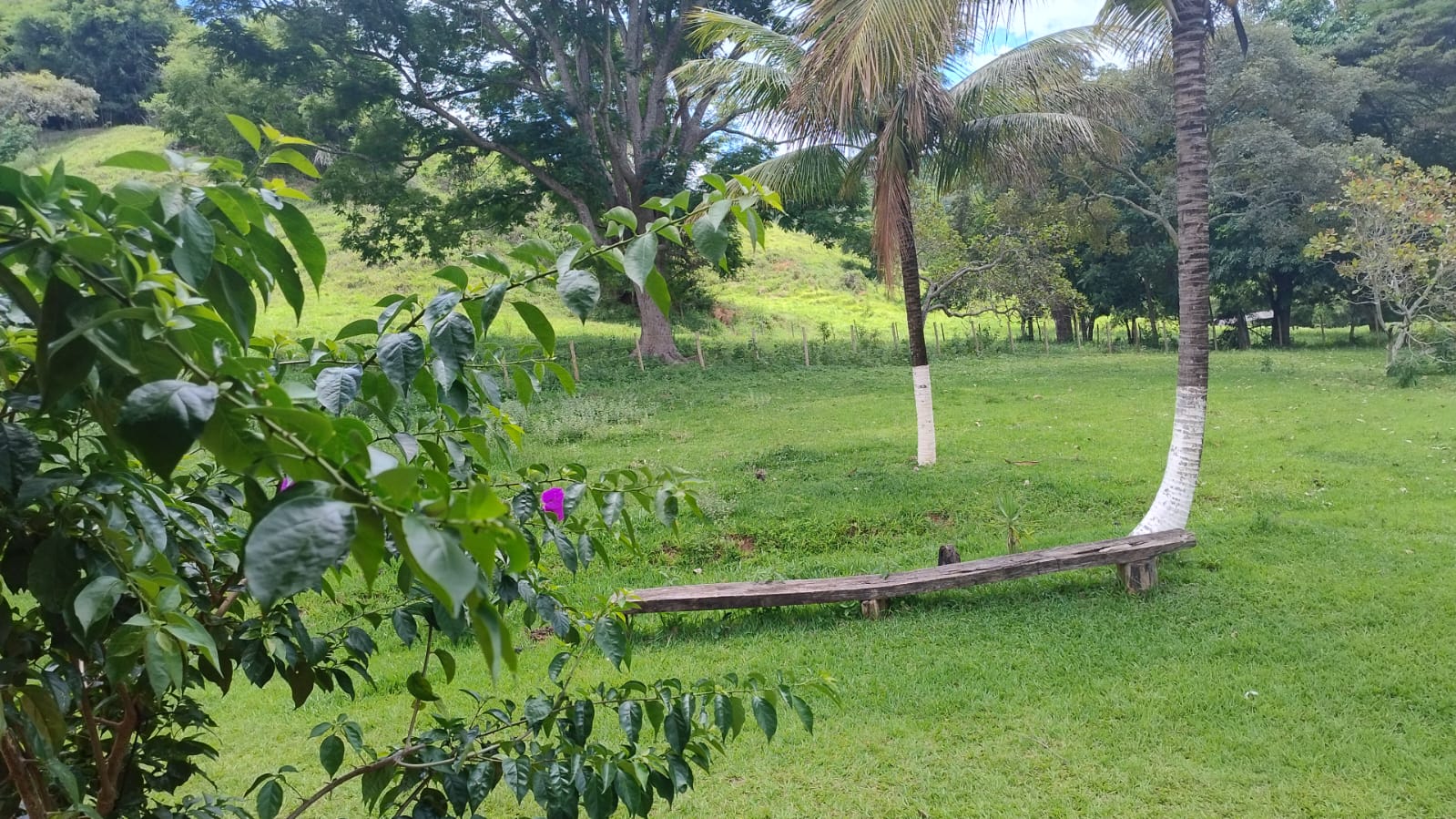 SÍTIO A VENDA em Santa Maria de Itabira (Localidade Comunidade São Pedro) - Imagem 6