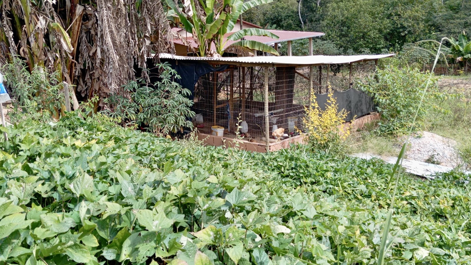 CHÁCARA A VENDA Região dos Pedros/Itabira - Imagem 2