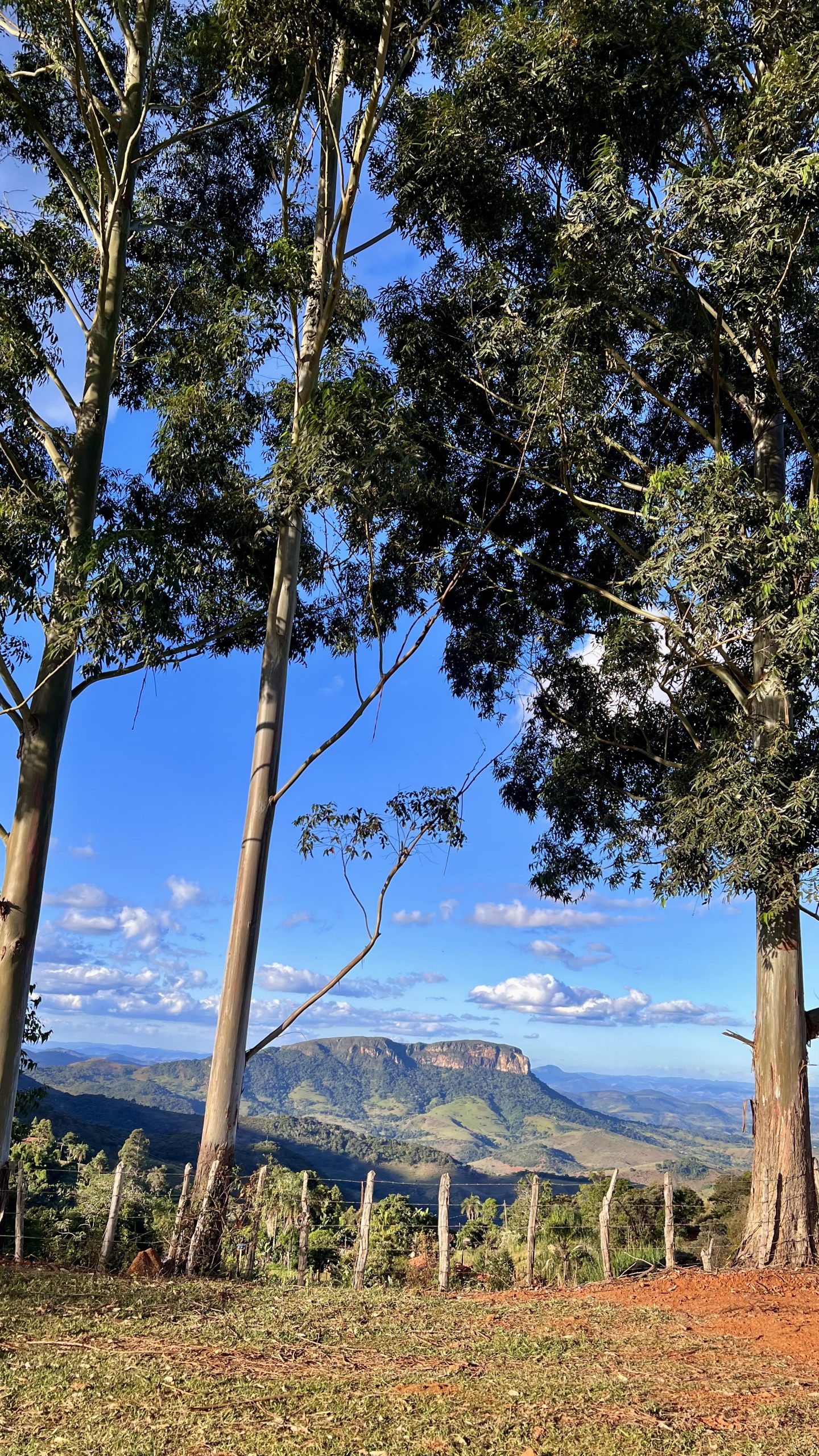 TERRENO COM CASA A VENDA COMUNIDADE BOM JARDIM ITABIRA/MG - Imagem 35